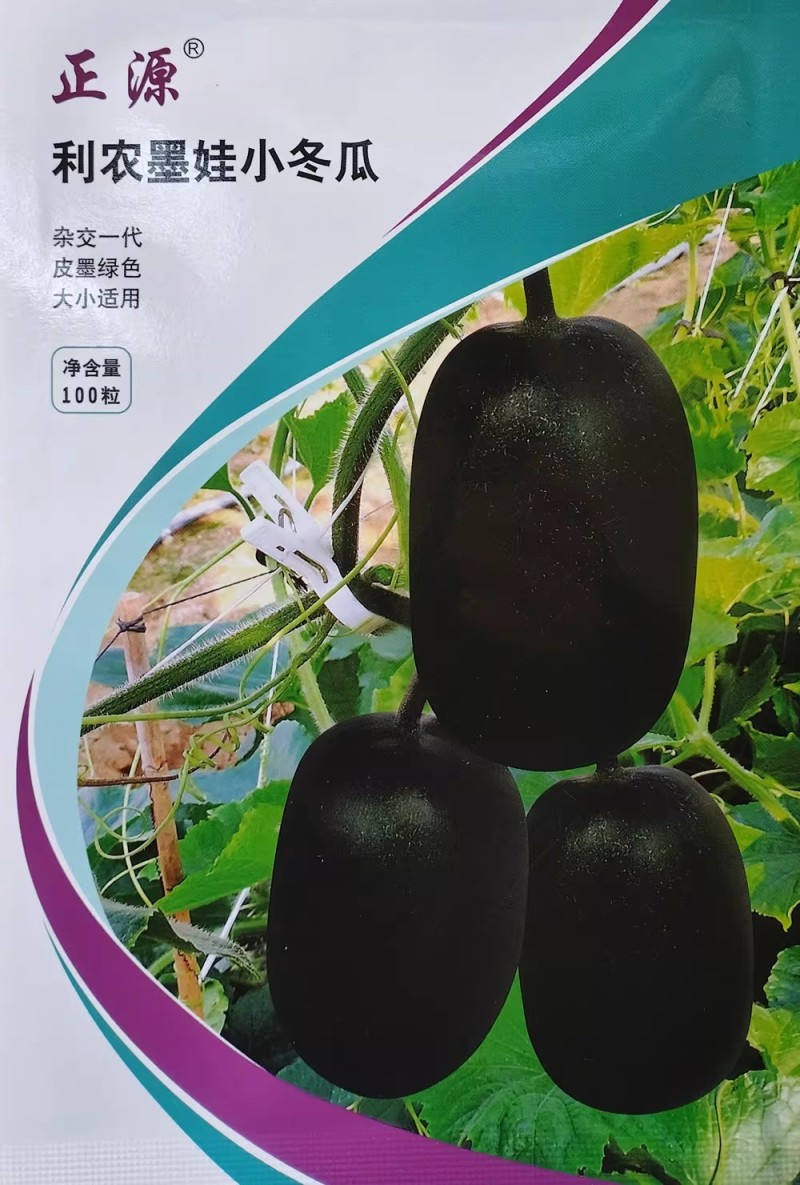 墨娃小冬瓜种子墨绿皮杂交迷你冬瓜种籽果肉致密春秋大棚露地