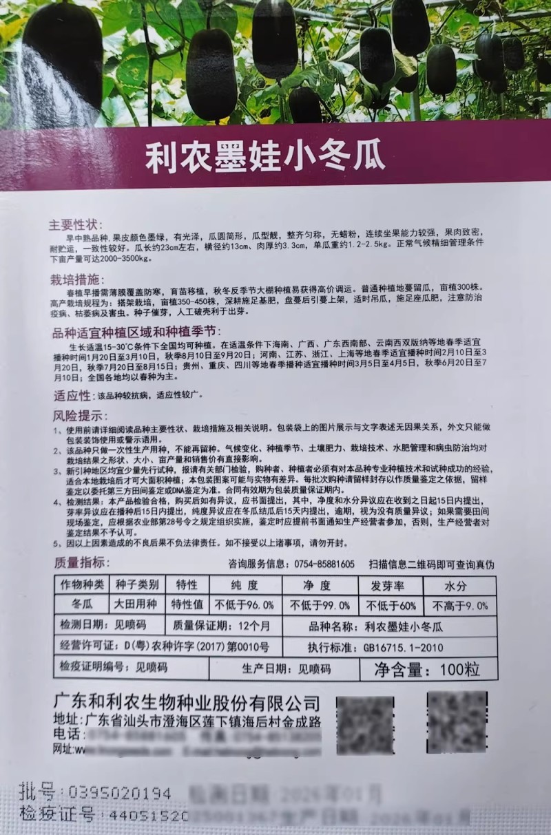墨娃小冬瓜种子墨绿皮杂交迷你冬瓜种籽果肉致密春秋大棚露地