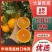 九月红脐橙品质保证货源充足诚信经营欢迎来电