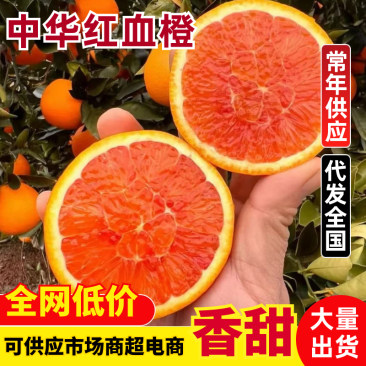 中华红血橙一手货源价格实惠对接各大商超全国发货