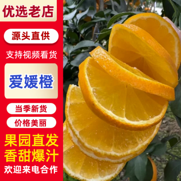 爱媛橙大量上市品质保证一手货源欢迎各位来电