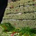 河北精品小棵芹菜/量大价优/一手货源/产地直发/诚信经营