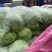 江苏精品暖棚宣甘蓝，量大从优，一手货源，供应市场商超