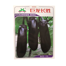 巨龙长胜长茄种子中早熟露地茄子种子基地高产好茄子种子