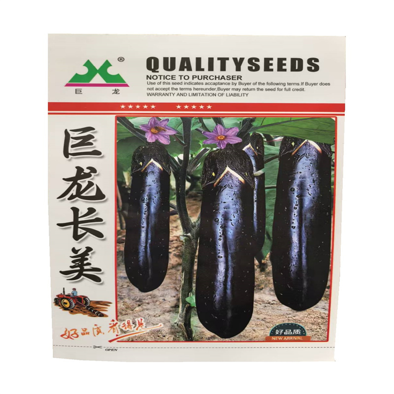 巨龙长美茄子种子中早熟杂交长茄种子高产基地黑紫皮
