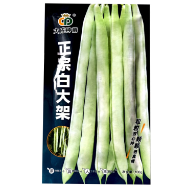正宗白大架扁圆青白色架芸豆种子100g中熟蔓生芸豆种子
