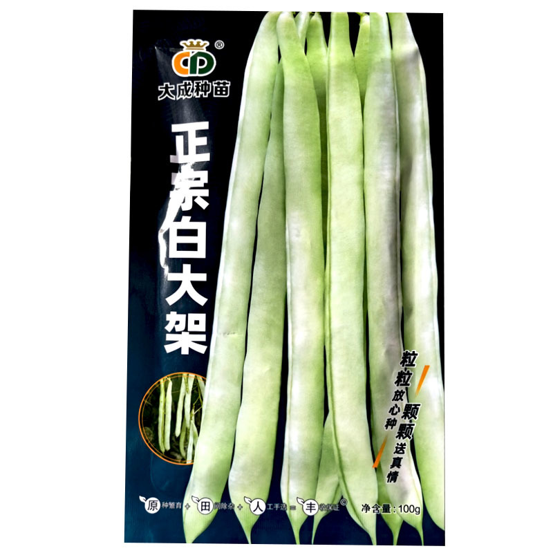 正宗白大架扁圆青白色架芸豆种子100g中熟蔓生芸豆种子