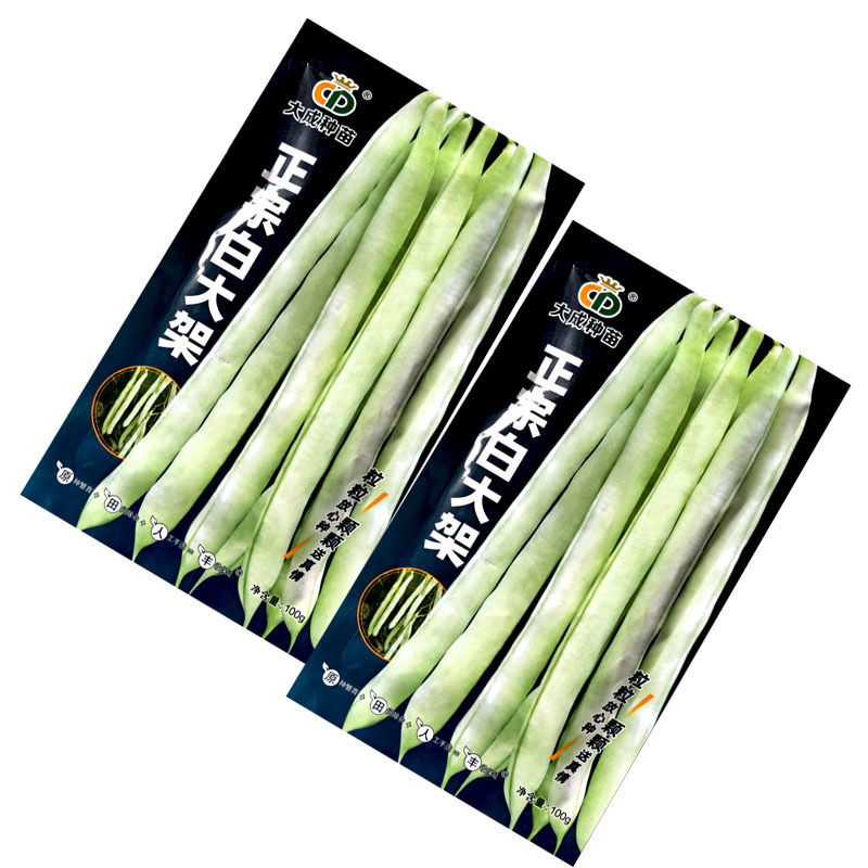 正宗白大架扁圆青白色架芸豆种子100g中熟蔓生芸豆种子