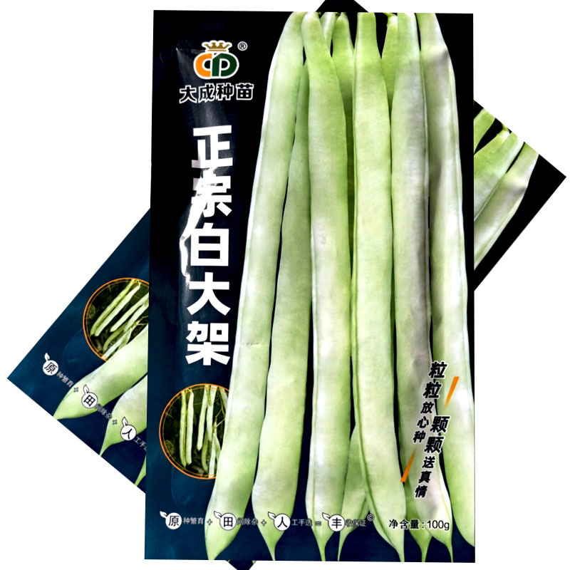 正宗白大架扁圆青白色架芸豆种子100g中熟蔓生芸豆种子