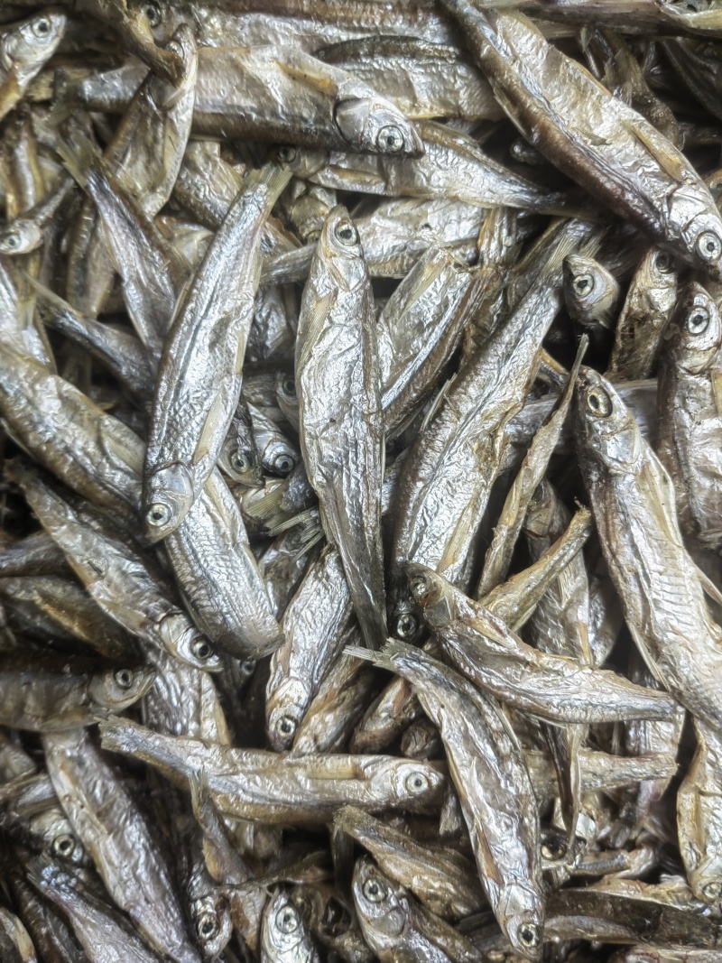 白条鱼淡干，猫鱼干，猫粮，淡干鱼，风干鱼