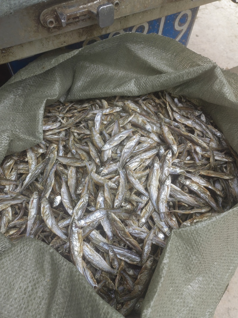 白条鱼淡干，猫鱼干，猫粮，淡干鱼，风干鱼