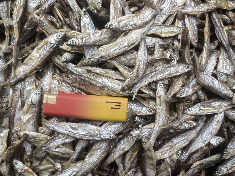 白条鱼淡干，猫鱼干，猫粮，淡干鱼，风干鱼