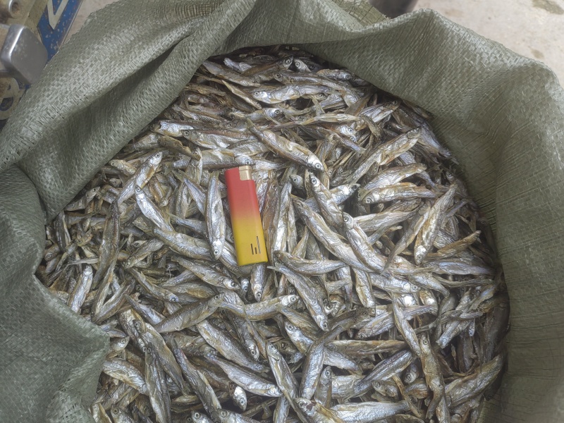 白条鱼淡干，猫鱼干，猫粮，淡干鱼，风干鱼