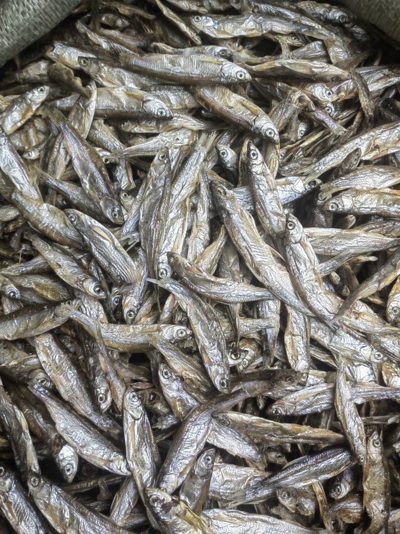 白条鱼淡干，猫鱼干，猫粮，淡干鱼，风干鱼
