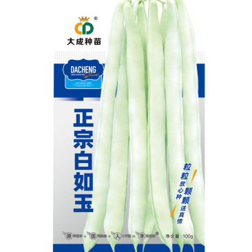正宗白如玉中蔬蔓生型芸豆种子100g青白条扁圆形架豆子
