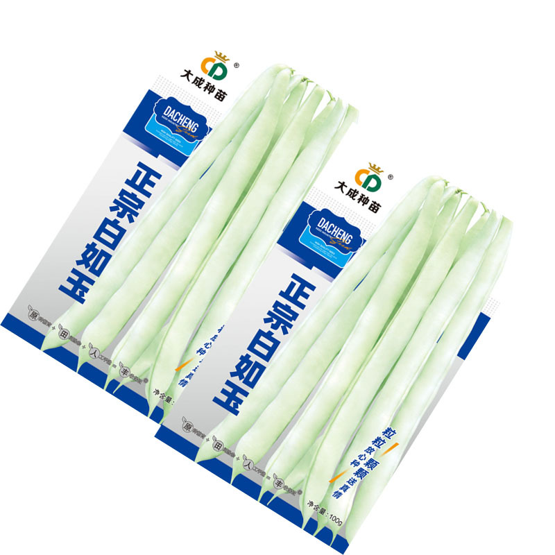 正宗白如玉中蔬蔓生型芸豆种子100g青白条扁圆形架豆子