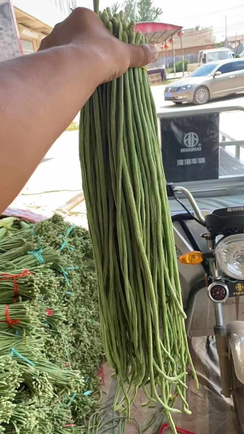 【热卖】豆角青条豆角豇豆产地直供一手货源欢迎咨询