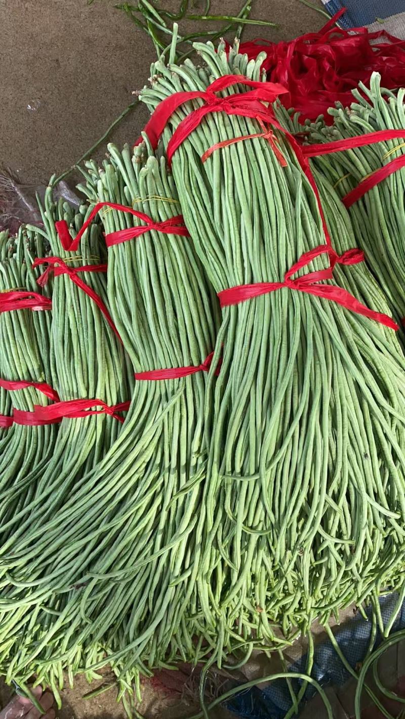 【热卖】豆角青条豆角豇豆产地直供一手货源欢迎咨询