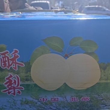 【热卖中】同川酥梨产地果园直发价格实惠一件代发包邮