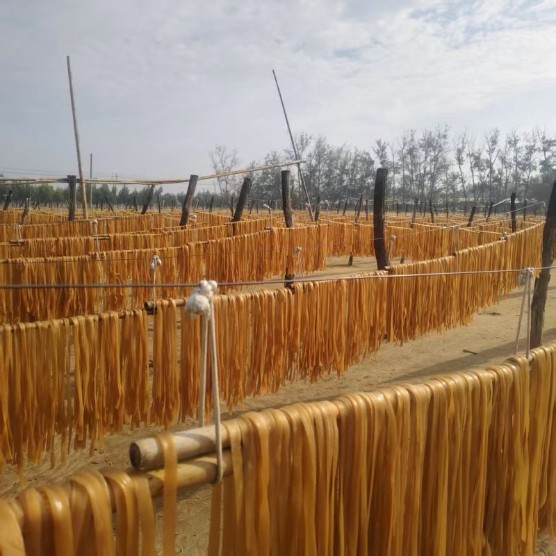 安徽砀山【工厂直销】红薯粉条和木薯粉条，火锅川粉酸辣粉等