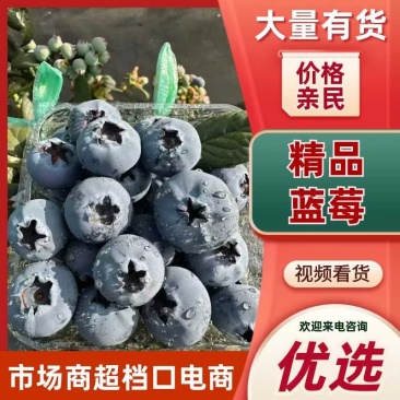云南蒙自蓝莓品质保证服务周到产地直销价格美丽欢迎咨询