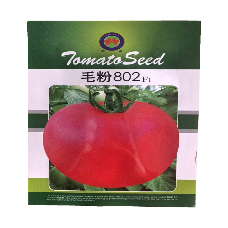 毛粉802番茄种子高产粉果西红柿种子口感老品种