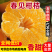 四川春见耙耙柑大量上市/新鲜现摘质量保证/量大从优