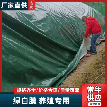 绿白膜/防航拍耐高温严寒抗老化任性足农业工业都能用定制规格