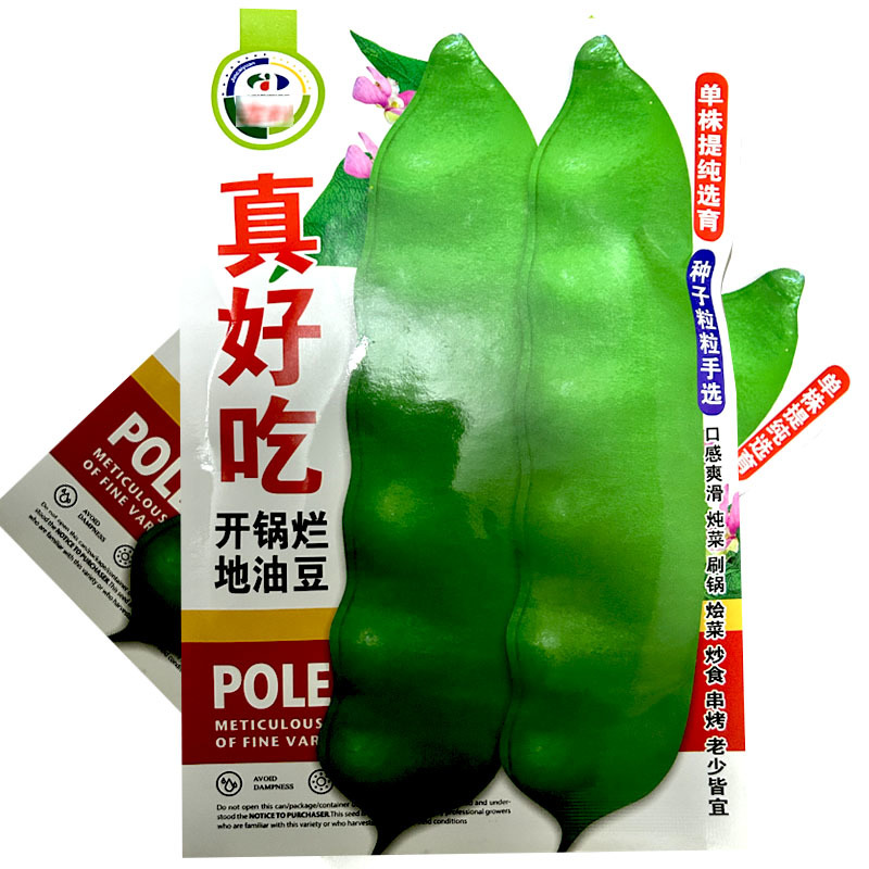 真好吃地油豆种子不上架油豆角开锅烂地油豆种籽春秋播种不易