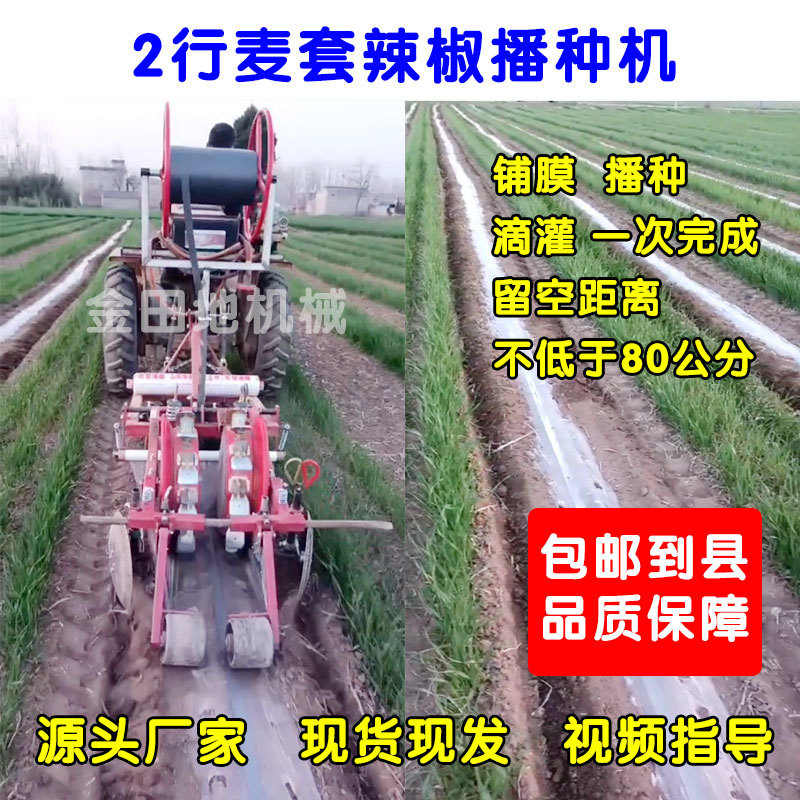 麦地套种辣椒播种机辣椒直播机朝天椒播种机