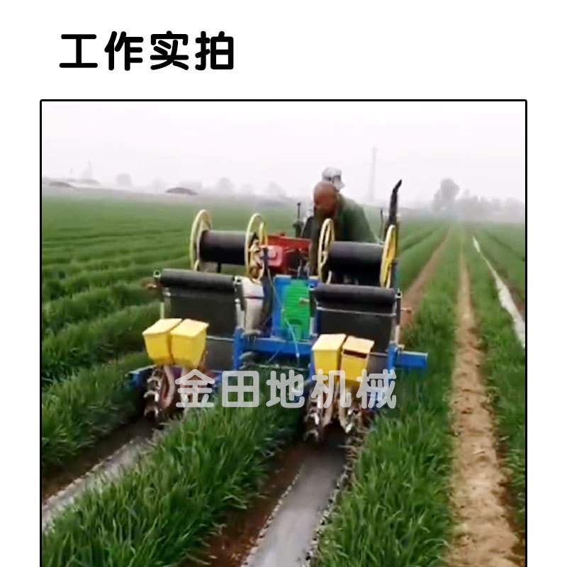 麦地套种辣椒播种机辣椒直播机朝天椒播种机