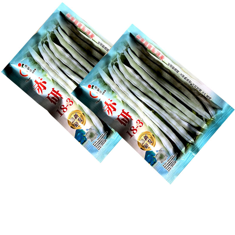 赤研18-3芸豆种子无筋架豆早熟春秋九粒白种籽荚多高产豆