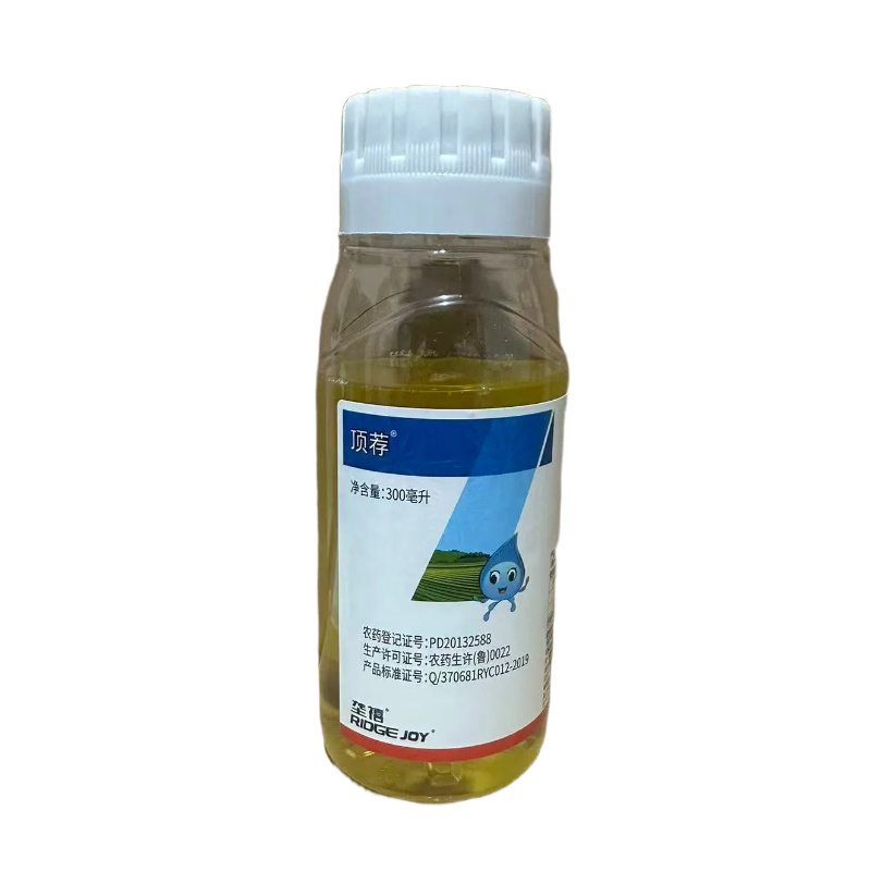 5%高效氯氟氰菊酯甘蓝菜青虫西葫芦保护地蚜虫农药杀虫剂