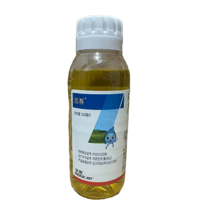 5%高效氯氟氰菊酯甘蓝菜青虫西葫芦保护地蚜虫农药杀虫剂