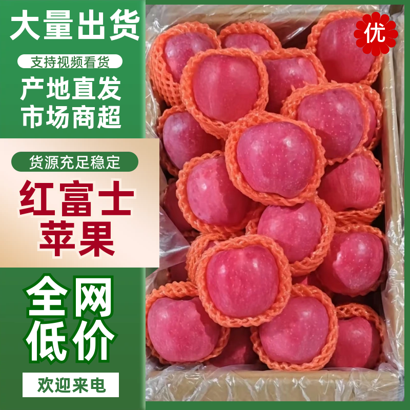 【精品】2026陕西咸阳膜袋红富士苹果货量充足可批发