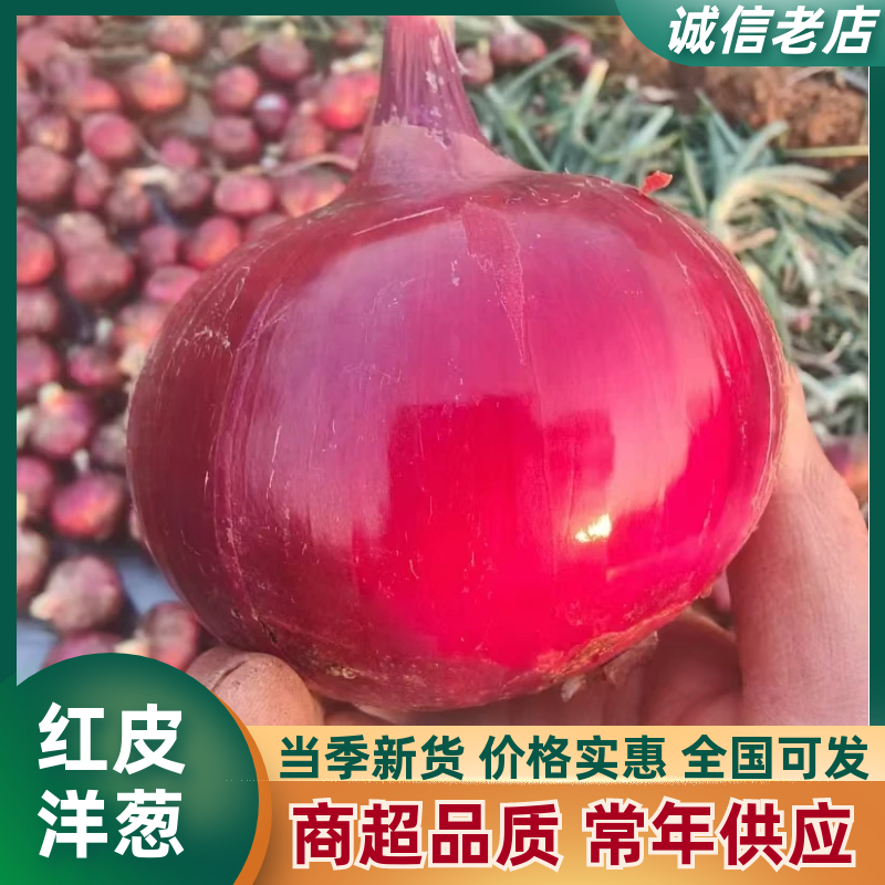 云南红皮洋葱一手货源全国发货可视频看货量大价优