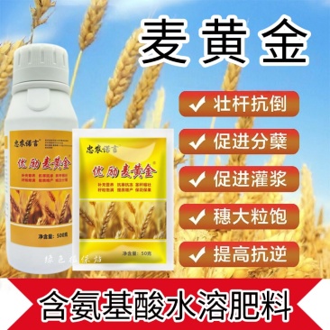 麦黄金增产肥小麦生根壮苗抗倒伏分蘖灌浆增产专用叶面肥