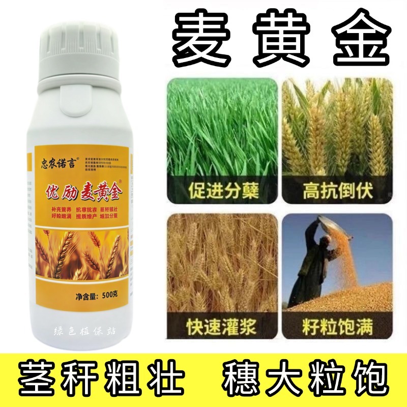 麦黄金增产肥小麦生根壮苗抗倒伏分蘖灌浆增产专用叶面肥