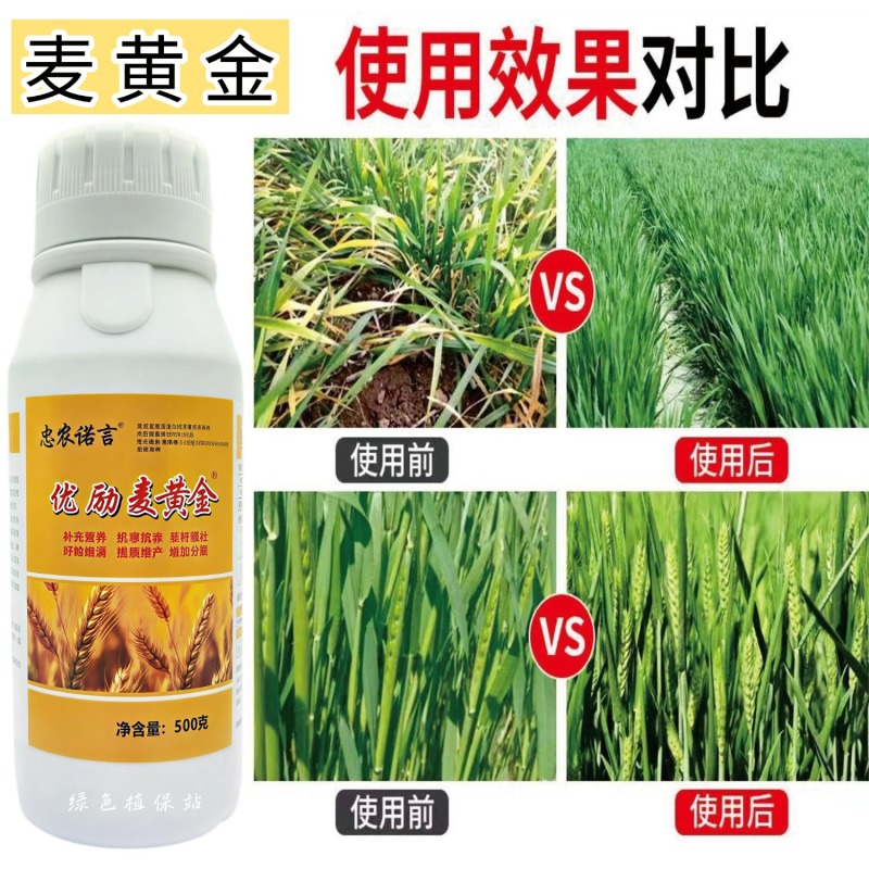 麦黄金增产肥小麦生根壮苗抗倒伏分蘖灌浆增产专用叶面肥