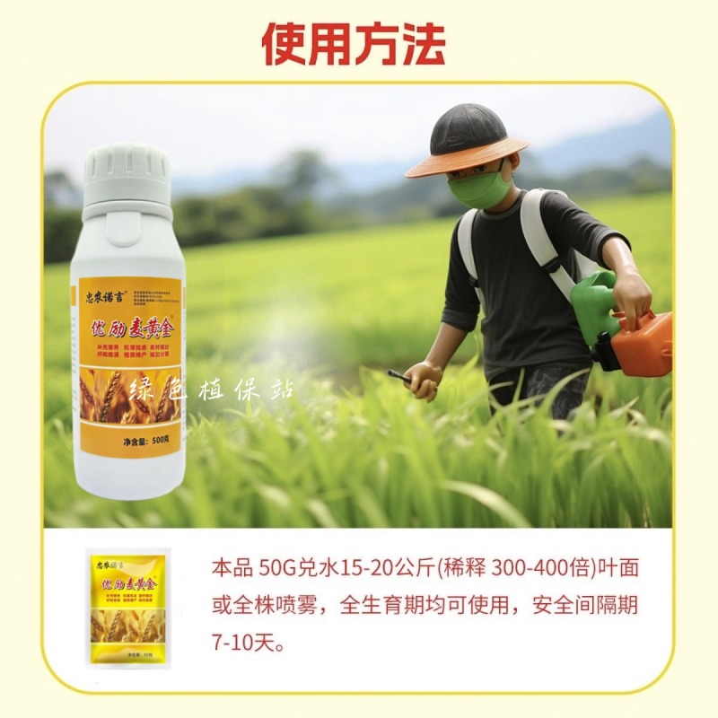 麦黄金增产肥小麦生根壮苗抗倒伏分蘖灌浆增产专用叶面肥