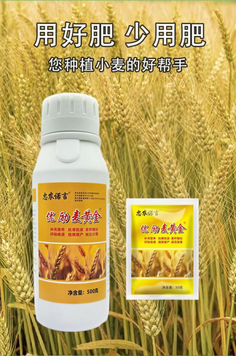 麦黄金增产肥小麦生根壮苗抗倒伏分蘖灌浆增产专用叶面肥