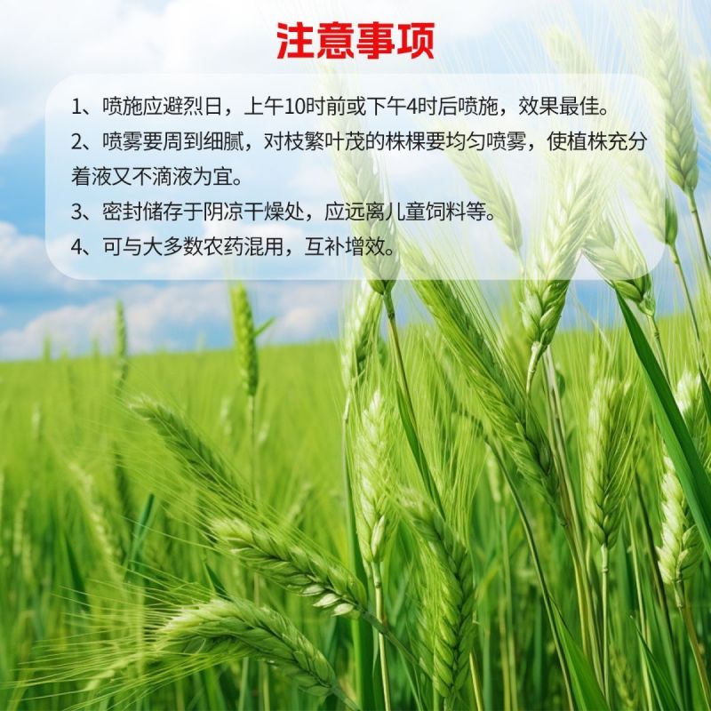 麦黄金增产肥小麦生根壮苗抗倒伏分蘖灌浆增产专用叶面肥