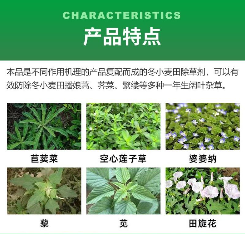2甲·氯·双氟氯氟吡氧乙酸异辛酯小麦田阔叶杂草繁缕除草剂