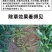 小麦苗后专用除草剂48%2甲氯双氟阔叶杂草播娘蒿烂根灭草