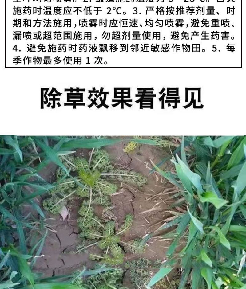 小麦苗后专用除草剂48%2甲氯双氟阔叶杂草播娘蒿烂根灭草