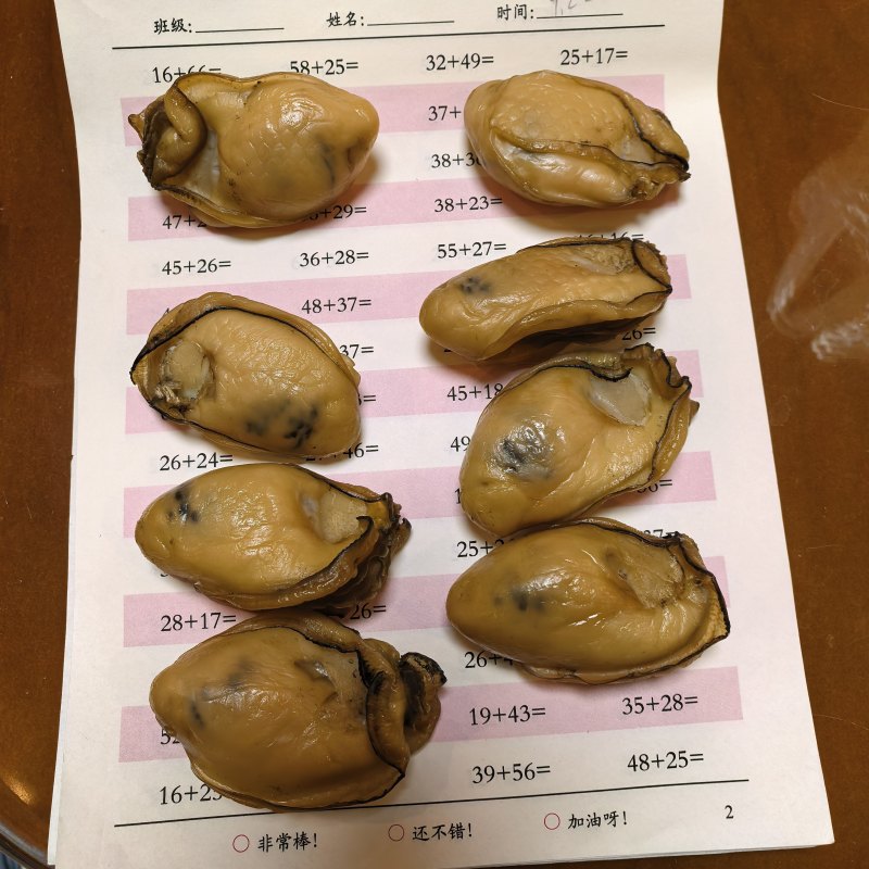 精品金蚝新鲜发货质量保证一手货源，可视频看货童叟无欺