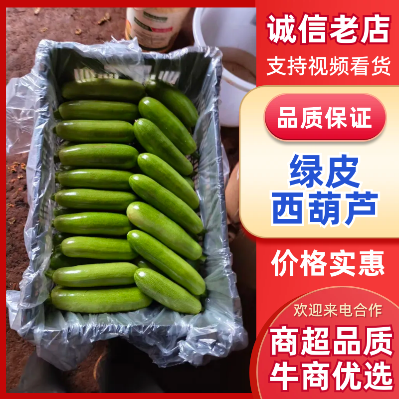 云南精品绿皮西葫芦，一手货源，价格实惠，诚信经营