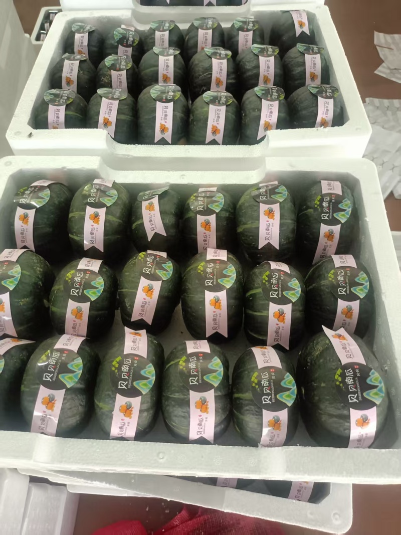 贝贝南瓜现货供应可以视频看货实地考察满意为止有设备工人装车快