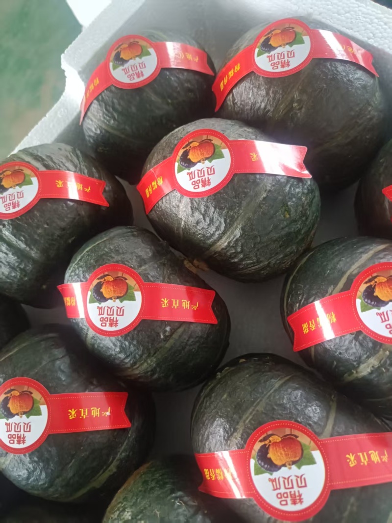 昌乐贝贝南瓜口感软糯香甜表皮干净原包机洗都有果形端正