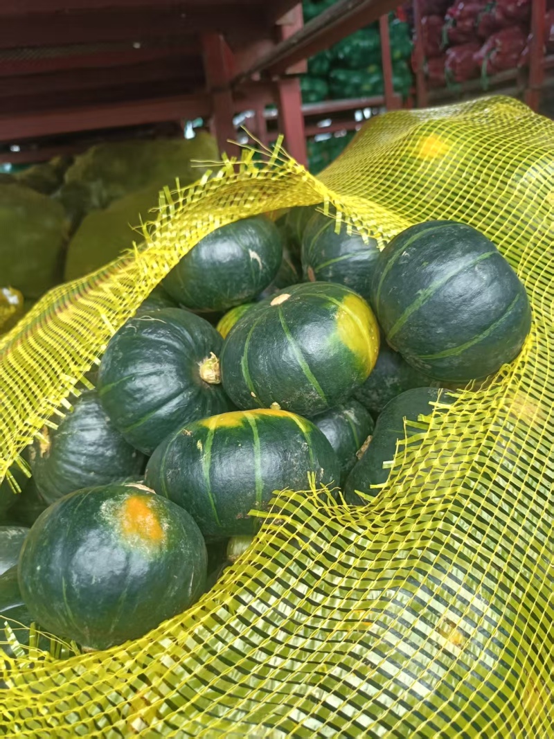 昌乐贝贝南瓜口感软糯香甜表皮干净原包机洗都有果形端正